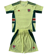 2024 Wales Away Adult Jersey & Short Set Quality