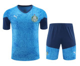 24-25 SE Palmeiras (Training clothes) Set.Jersey & Short High Quality