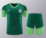 24-25 SE Palmeiras (Training clothes) Set.Jersey & Short High Quality