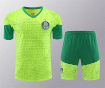 24-25 SE Palmeiras (Training clothes) Set.Jersey & Short High Quality