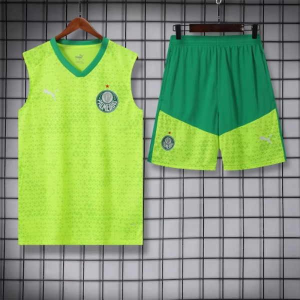 24-25 SE Palmeiras (vest) Set.Jersey & Short High Quality
