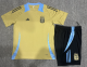 24-25 Argentina (Training clothes) Set.Jersey & Short High Quality