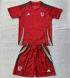 2024 Wales home Adult Jersey & Short Set Quality