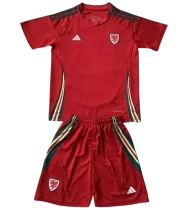 2024 Wales home Adult Jersey & Short Set Quality