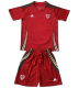 2024 Wales home Adult Jersey & Short Set Quality