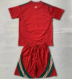 2024 Wales home Adult Jersey & Short Set Quality
