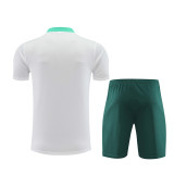 24-25 Portugal (Training clothes) Set.Jersey & Short High Quality