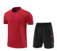 24-25 Bayern München (100% cotton) Set.Jersey & Short High Quality