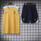 2024 France (vest) Adult Jersey & Short Set Quality