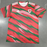 2024 Wales (Training clothes) Fans Version Thailand Quality
