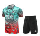 24-25 Real Madrid (Training clothes) Set.Jersey & Short High Quality