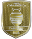 COPA AMERICA CAMPEON 2024