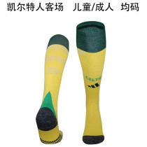 24-25 Celtic Away Soccer Socks