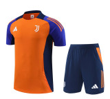 24-25 Juventus FC (Training clothes) Set.Jersey & Short High Quality
