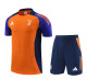 24-25 Juventus FC (Training clothes) Set.Jersey & Short High Quality