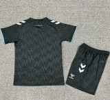 Kids kit 24-25 Werder Bremen Third Away Thailand Quality