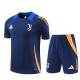 24-25 Juventus FC (Training clothes) Set.Jersey & Short High Quality