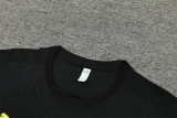 24-25 Borussia Dortmund (Training clothes) Set.Jersey & Short High Quality