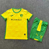 Kids kit 24-25 Norwich City home Thailand Quality