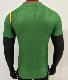24-25 Cameroun home Player Version Thailand Quality