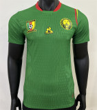 24-25 Cameroun home Player Version Thailand Quality