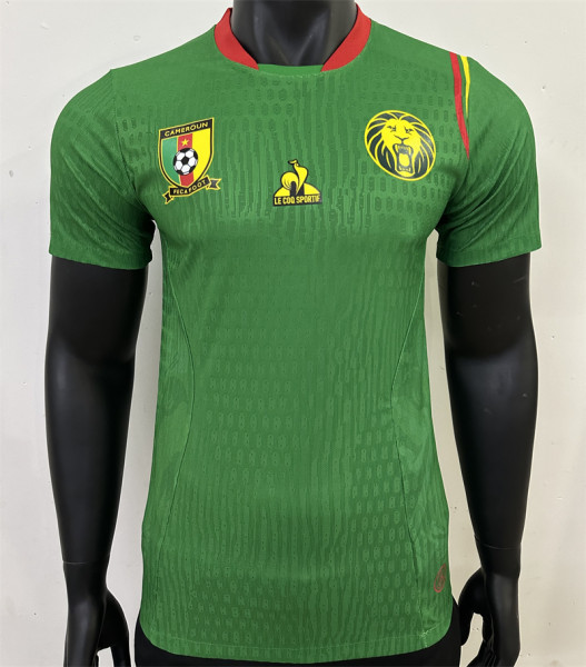 24-25 Cameroun home Player Version Thailand Quality