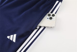 24-25 Al-Nassr FC (Baolan) Jacket Adult Sweater tracksuit set