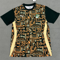 2025 Coate d'Ivoire (Training clothes) Fans Version Thailand Quality