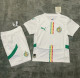 Kids kit 2025 Senegal Away Thailand Quality