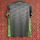 24-25 Venezia home Fans Version Thailand Quality