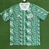 24-25 Celtic (Training clothes) Fans Version Thailand Quality