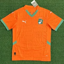 2025 Coate d'Ivoire home Fans Version Thailand Quality