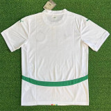 2025 Senegal home Fans Version Thailand Quality