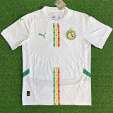 2025 Senegal home Fans Version Thailand Quality