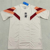 24-25 Olympique Lyonnais (Special edition) Fans Version Thailand Quality