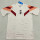 24-25 Olympique Lyonnais (Special edition) Fans Version Thailand Quality