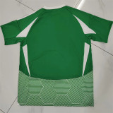 24-25 Maccabi Haifa home Fans Version Thailand Quality
