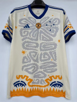 23-24 Cruzeiro (Special edition) Fans Version Thailand Quality