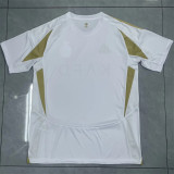 24-25 Al-Nassr FC Third Away Fans Version Thailand Quality