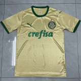 24-25 SE Palmeiras Third Away Fans Version Thailand Quality