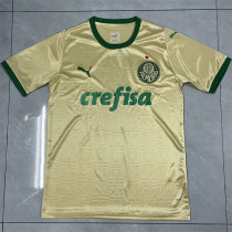 24-25 SE Palmeiras Third Away Fans Version Thailand Quality