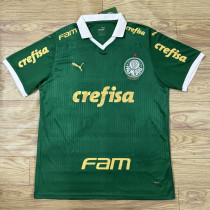 All sponsors 24-25 SE Palmeiras home Fans Version Thailand Quality