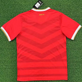 2024 Panama (Limited Edition) Fans Version Thailand Quality