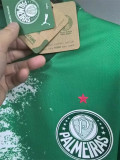24-25 SE Palmeiras (Special Edition) Fans Version Thailand Quality