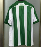 24-25 Juventude home Fans Version Thailand Quality