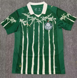 25-26 SE Palmeiras home Fans Version Thailand Quality