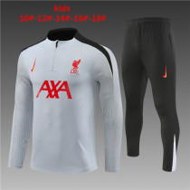 Player Version Young 24-25 Liverpool (gray) Sweater tracksuit set