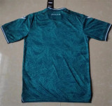 24-25 Santiago Wanderers home Fans Version Thailand Quality