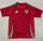 2024 Wales home Fans Version Thailand Quality