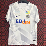 24-25 Sanfrecce Hiroshima Away Fans Version Thailand Quality